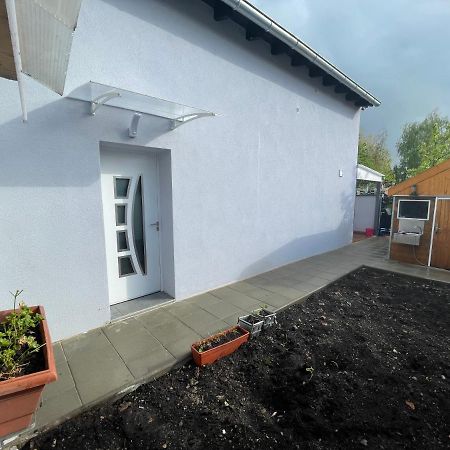 Maisonnette Avec Terrasse 斯特拉斯堡 外观 照片